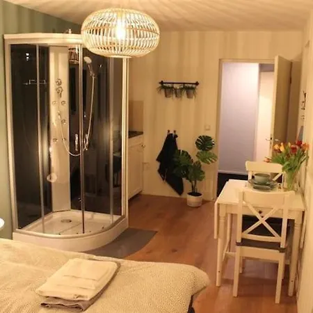 בית הארחה Mooie Studio Dichtbij Het Centrum Oud Nijkerk! נייקרק